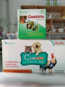 Khắc tinh đẹn miệng nấm họng hầu trên gà