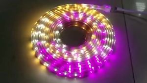 Emico Lampu Selang LED Strip Flexible Light 7 meter Waterproof SMD Soft Lamp with Socket Dekorasi Indoor dan Outdoor