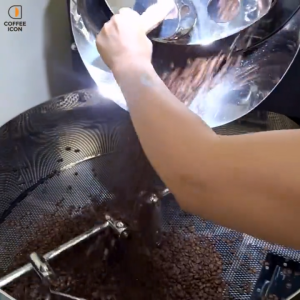Specialty Coffee Bean - Ethiopia Guji Hambella Buku Able 布穀阿貝 日曬處理 精品手沖咖啡豆 (Biji Kopi)