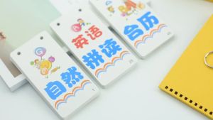 Sight Words Phonics Reading Flash Cards Spelling ABC Flashcards for Kids Segmenting Blending English Words Phonetics英文拼音读音拼读字卡 Belajar membaca perkataan bahasa Inggeris & Suku kata Melayu