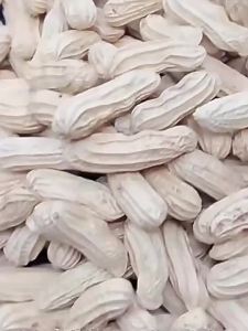 Multi-Color Field Gourmet Peanut