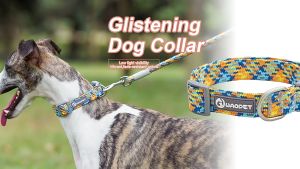 สายจูงสัตว์เลี้ยงแบบปรับได้เพื่อความปลอดภัยปลอกคอไนล่อนสำหรับปลอกคอสำหรับสุนัขและแมวปกคอสะท้อนแสงเชือกแบนปลอกคอสุนัขคออุปกรณ์เสริมสายจูงปลอกคอสุนัขHP302