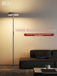 Double Light Source Brightness Adjustable Floor Lamp