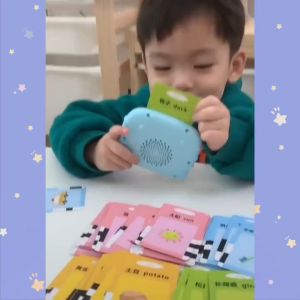 Baby Bilingual Flash Cards Reader for Preschool Reading Pronunciation Educational toys for kids Toddler