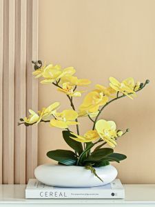 Lifelike Butterfly Orchid Artificial Flowers Ceramic Vase Decorative Pieces for Living Room Hotel Dining Table Green Plants