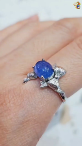Icy Blue Tanzanite Titanium Adjustable Ring Midnight Ribbon