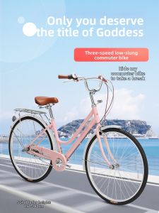 BATTLE | Womens Shimano Internally Geared Bicycle 26 inch