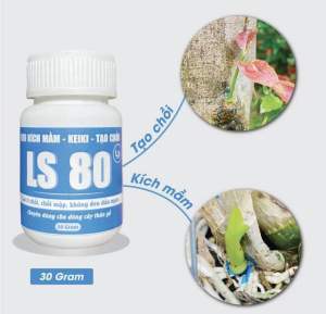 Keo Kích Mầm Kích Chồi LS 80 - Bôi Ở Đâu Mọc Chồi Lên Ở Đó lọ 30g