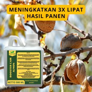 Pupuk Pelebat Almon / Pupuk Buah Almon / Pupuk Booster Buah Almon / Pupuk Buah Almon