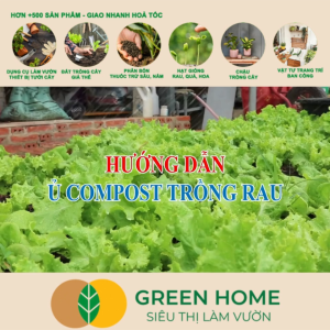 Nấm Đối Kháng Trichoderma Greenhome Điền Trang Bao 1kg Ủ Phân Hữu Cơ Ủ Rác Đậu Tương Khử Mùi Cải Tạo Đất