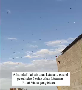 King Birahi Akau Lintasan Produksi Akau Jaminan Asli 100% Original Garansi Resmi 1Tahun flashdisk