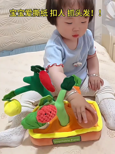 【SG Stock】Vegetable Farm Pull-out Plush Toy Fruit & Vegetable Pulling Educational Sensory Toy  Packed in Colour Gift Box