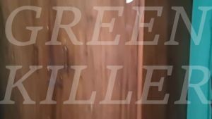 1Pc GREEN KILLER Large Super Strong Mouse Sticky Mouse & Rat Trap Glue Board Sticky Mouse Board Mouse Glue Trap Mouse Sticky Board Bait Traps