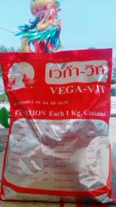 เวก้าวิท