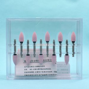 Bộ 10 Đầu Đánh Bóng Răng Nhanh Gọn Cho Máy Móc Cong Trong Miệng Bộ Chăm Sóc Răng Miệng Điện Tử Thông Minh Của Thương Hiệu Weihao