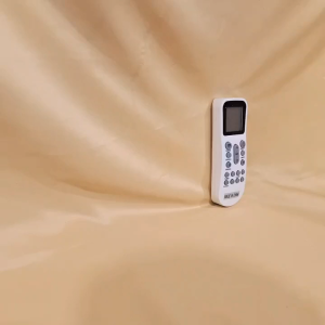 RAC60 REMOT / REMOTE AC POLYTRON / DAST M RAC-60