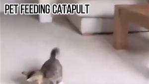 Automatic Plastic Snack Launcher Pet Portable Snack Throwing Trainer Funny Handheld Dog Feeder