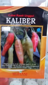 Benih Cabai Rawit Unggul Kaliber 10gr