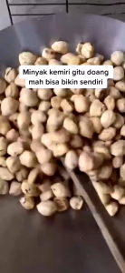 2 Botol Minyak Penumbuh Rambut Alami Minyak Penyubur Rambut Minyak Penebal Rambut MInyak Penumbuh Brewok Penebal Alis MInyak Kemiri Alami Original Sari Ampas Minyak Kemiri Bakar