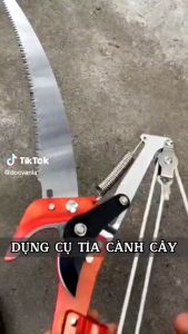 Đầu kéo cắt tỉa cành cây trên cao kết hợp cưa tiện lợi dễ sử dụng
