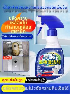 PISSA | High Concentration Stain Removal Cleaner for Tiles Toilets Floors