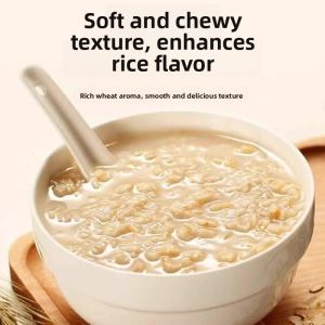 Top Grade Organic Oats Rice 2025 New Crop Whole Embryo Oats Grains Baby Cereal Porridge Recipe Wholegrain Healthy Breakfast