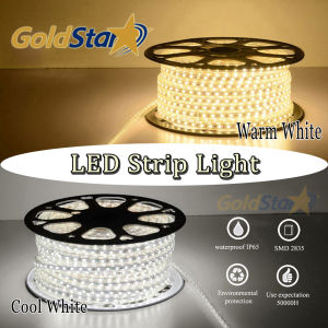 Gold Star LED Strip Lights Holiday lights Christmas lights Outdoor Waterproof Warm White /Cool White LED Strip Light for room Patio Backyard Bedroom Kitche