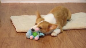 Dog Toy Quality Fabrics Corduroy Rubber Animal Squeak Toys Teeth Whitening Resistant To Bite