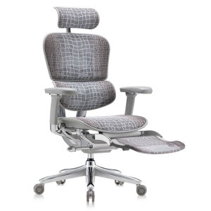 Ergonor | Limited Edition Himalayan Pure Ergonomic Office Chair