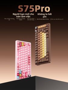 XINMENG | Customizable Wireless Mechanical Keyboard Low Latency Quiet High Aesthetic