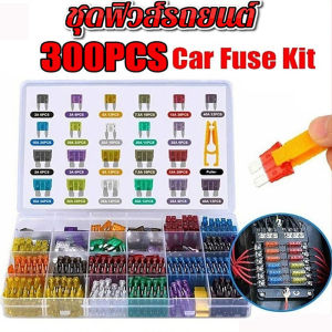 300 รถฟิวส์ใบ ด้วยชุด ฟิวส์ ฟิวส์ใบ และ รถบรรทุกอัตโนมัติ ฟิวส์ประกัน รักษาแทรกซีน และ อุปกรณ์เสริมรถยนต์