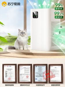 Home Air Purifier Negative Ion Cat Hair Removal Formaldehyde Odor Eliminator Smoking Table Top USB Powered Hepa Filter