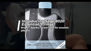 Sage Acoustic Guitar Strings – 80/20 & Phosphor Bronze | Bright & Warm Tone | Gauge 11–12