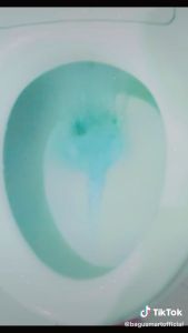 BAGUS Sibiru 50g Isi 3 (W-21702A) / Pembersih Kloset Bebas Kuman Kerak dan Bau Beli 2 Gratis 1