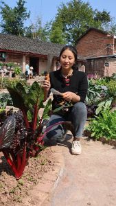 Bộ Dụng Cụ 5 Món Xẻng Làm Vườn Bằng Inox304 Trồng Cây Trồng Hoa Trồng Rau Xới Cào Tơi Đất Nhổ Cỏ Đa Năng Tiện Ích