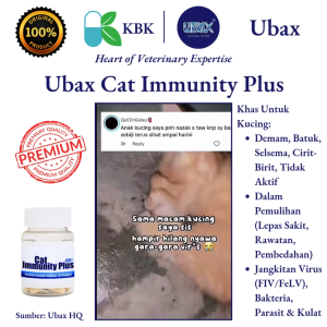 Ubax Cat Immunity Plus Cat Immune Booster Cat Supplement Cat Vitamins & Minerals