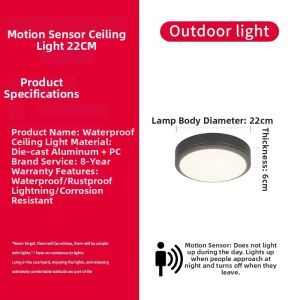 VINCAN | Trendy Waterproof Energy-Saving Solar Outdoor Ceiling Light