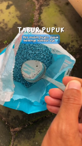 Pupuk NPK Mutiara Biru  1KG 16.16 16 Penyubur Bunga Daun Dan Buah Murah | COD