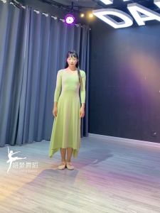 Slim Solid Color Tang Poetry Yiluoyang Old Stories Spring and Summer New Classical Dance Modern Dance Dress Practice