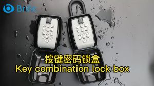 Brifit Hộp khóa phím mật khẩu nút Hộp lưu trữ phím dung lượng lớn có vòng treo Mã có thể đặt lại bàn phím 9 chữ số Hộp khóa bảo mật treo tường chống gỉ/chống thấm nước dành cho gia đình ngoài trời