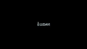 LUDAVI CLASSIC BOTTLES COVER PLASTIC SLEEVE ACCESSORY (1 SET)