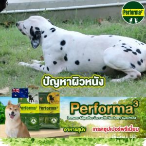 อาหารสุนัขสูตรเนื้อวัวจากออสเตรเลียและไก่ (HOLISTIC) 3kg Performa3 Dog Australian Beef and Chicken Formula
