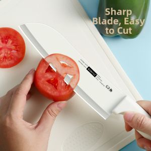 Antibacterial Portable Stainless Steel Paring Knife