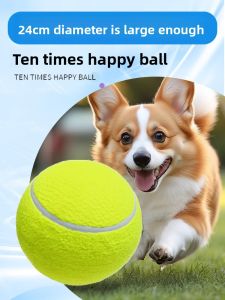 VOA | Durable Chewing & Entertainment Dog Toy Ball