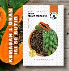 Benih Bibit Pepaya California Unggul Kemasan 1 Gram - 50 Biji