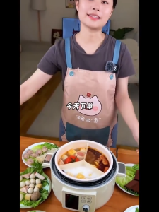 Korean style HAP Intelligent Voice-Controlled Electric Pressure Cooker for Home Use with Dual Pots 4 Multifunctional automatic rice cooker Korean-style HAP intelligent voice electric pressure cooker for home use