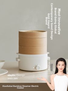 Olayks | Multifunctional Stainless Steel Electric Cooking Pot