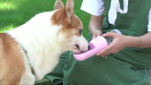 [Food Storage] ELS Retractable Travel Dog Water Bottle With Food Storage | BPA Free | Portable Foldable | Pet Drink Bottles