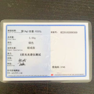 Hewisia Double Ring U-Shaped Horse Hoof Buckle Necklace Womens S925 Pure Silver Fashionable Clasp Choker Pendant Necklace