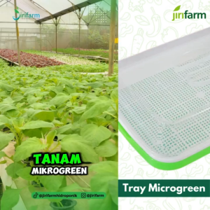 JIRIFARM - Microgreen Sprouting Tray with Base and Cover - Tray Semai Microgreen dengan Alas + Tutup
